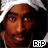 iconhell_sahal_tupac
