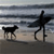 Silhouetted figures of a dog and a person with a surfboard on a beach at dusk, rendered in low-resolution pixel art with horizontal gradient bands.