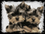 Static pixelated image of a dog's face with brown and black fur, visible eyes, nose, and mouth against a white background within a thin black border.