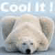 A light-colored dog lies face down on a gray surface with text overlays reading Cool It! and Merawalaid.
