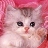 Pixelated static icon of a white cat with pink accents against a solid pink background, featuring large black eyes and a small pink nose.