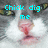 A pixelated close-up of a cat's face with cyan text overlays reading 'Chick dig me' and 'Cousc i'm Sawyer' in a retro digital font.