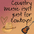 Pixelated graphic with text 'Country music isn't just for cowboys!' over a gradient background featuring a cowboy hat, guitar, and heart symbol.