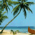 Pixelated beach scene with palm tree leaning left, sandy shore, blue water, and brown object on sand.