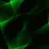Green glowing pattern with flowing lines on black background, no visible text or figures