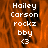 Pixelated text on an orange background with a gray rectangle overlay, showing repeated phrases and symbols.