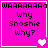 Four identical pink square display 'Why Shoshie Why?' text with pixelated hearts changing across frames