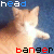 A 50x50 pixel animated contact sheet showing two frames of a cat animation with text overlays, where the cat's head position changes between frames against a blue background.