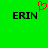 Green background with two black 'ERIN' texts and a red pixelated heart above the left text.
