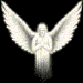 Four white angel figures with outstretched wings on black background, each in distinct pose variations.
