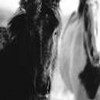 Black-and-white close-up of two figures in intimate embrace, one with dark hair and the other with light hair, both partially visible against a blurred background.