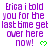 Purple pixelated text repeats 'Erica i told you for the last time get over here now!' with green heart symbols on a white background.