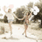 Two figures in light-colored clothing hold hands and jump on a sandy beach with rocky background; pink pixelated text appears on the right.