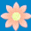 Blue background with repeating light pink flowers and yellow centers, overlaid with black text fragments.