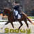 Pixelated image of a rider on a horse with green text reading 'Snowy' at the bottom.