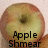 A static image of a red and green apple with text overlays reading 'Apple Shmear', 'Is', and 'Fun' across different sections.