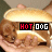 A hand holds a hot dog with visible text 'HOT DOG' in black boxes, where the first letter of each word changes color