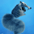 Pixelated blue background with a stylized dolphin figure in shades of blue and gray, facing right with mouth open.