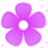 Two static flower icons side-by-side, one purple with five rounded petals and a white center, the other pink with identical petal shape and center.