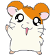 Two side-by-side cartoon hamsters with orange and white fur, pink ears, large black eyes, and pink tongues sticking out against a gray background.