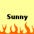 Yellow background with two 'Sunny' text labels above orange pixelated flames, each flame shape distinct and animated.