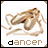 A contact sheet of six animated frames showing ballet shoes with ribbons, each labeled "dancer" below the image on a white background.