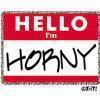 Static red-and-white name tag icon with handwritten text reading "HORNY" below a printed "HELLO I'm" header, pixelated edges and dithering visible on the white background.