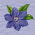 A pixelated blue flower with green leaves appears on a light gray background, accompanied by partial text fragments including 'Ties', 'GOF', and 'Comm' in purple lettering.