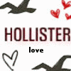 A static icon featuring dark silhouettes of birds in flight, red pixelated hearts, a large 'HOLLISTER' text, and a smaller 'love' text below it.