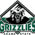 Green and black pixelated logo featuring a bear silhouette inside a diamond shape with 'GRIZZLIES' text below.