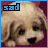 iconhell_bapity88_sad
