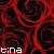 Red rose pattern with dark center spirals and white text 'tina' in bottom-left corner.