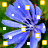 Four identical blue flowers with yellow and white square accents on green background arranged in 2x2 contact sheet layout.