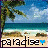 A beach scene with palm trees, ocean waves, and sandy shore displayed in a of repeated