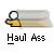 Pixelated buddy icon shows yellow figure with white head holding transparent tube, text 'Haul Ass' below, red 'badassbuddy.com' text on gray background.