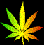 Animated cannabis leaf icon with shifting green-yellow-orange color transitions and distorted lower section against black background.
