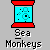 A static icon with a red border and cyan background showing a monkey face with dots and circles, labeled "Sea Monkeys" below.