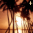 Animated beach sunset scene with palm trees and water reflection, displayed as a 2-frame contact sheet showing sequential motion of the sun's position.