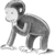Static grayscale cartoon monkey icon in a crouched running pose with visible facial features and tail, rendered at 50x50 pixels on white background.