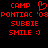 Red pixelated text and symbols on black background, with 'CAMP' above a heart symbol, followed by 'PONTIAC', 'SUBBIE', and 'SMILE :)' in sequence.