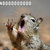 Pixelated image of a light-colored animal with dark eyes and nose, mouth open in a wide expression, raised paw, and blurred background.