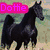 Three distinct horse images with 'Dottie' text overlays in different colors and backgrounds.