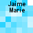 Four identical pixelated text blocks reading "Jaime Marie" on a blue and white checkered background.