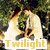 Pixelated image of a character with light hair and green clothing against dark foliage, featuring yellow text reading 'Twilight' at the bottom.