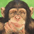 A four- shows a pixelated chimpanzee with green background; text and symbols change