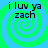 Four identical display a green and blue spiral background with black text reading "i luv ya zach" in pixelated font