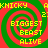 A static pixel art image with red and green spiral backgrounds, yellow text reading 'KNIICKY', 'AKNICKY', 'BIGGEST BEAST ALIVE' in four quadrants.
