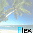 Pixelated beach scene with palm trees and blue sky, featuring the name 'Alex' in black text with one letter highlighted in cyan