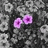 Two pink circular shapes with purple centers on a gray pixelated background.