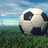 Pixelated soccer ball on grass with blue sky background, adjacent to blue with white text reading "I love this sport"